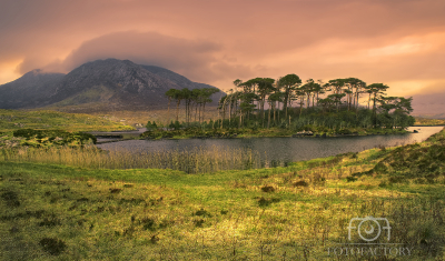 Dawn at Derryclare lake and twelve pines island 