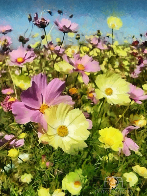  Simplicity of Flowers