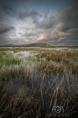 Across the Wetlands, The Burren 