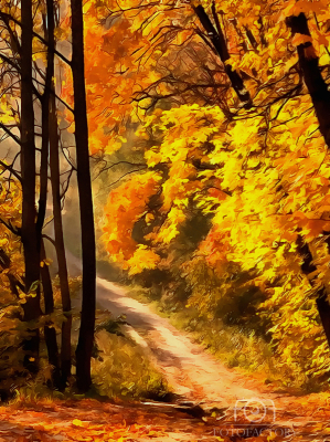 Autumn Scene