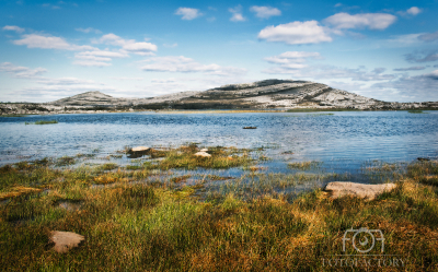 Burren national Park 