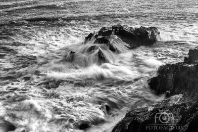 BW Seascape