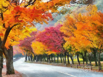 Colourful Road