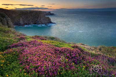 Copper Coast