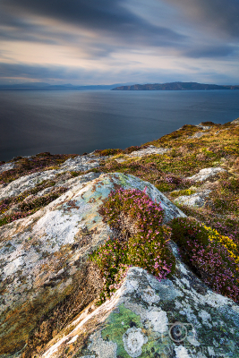 Cork Seascape