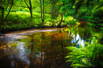 Dargle River