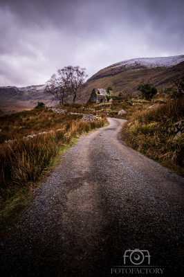 Dark Road