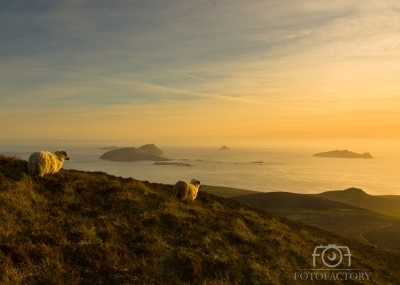 Dingle Peninsula at Sunset