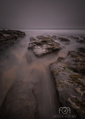 Edge of Silence, Fanore 