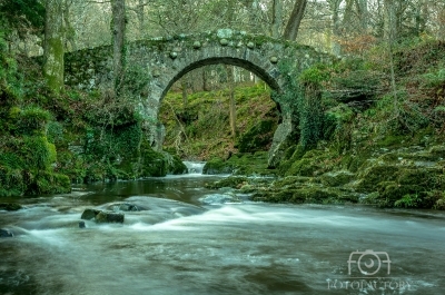 Foleys Bridge