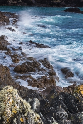 Galley Head