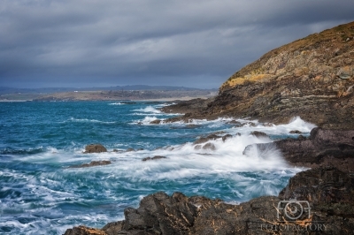 Galley Head