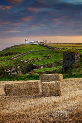 Galley Head