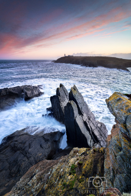 Galley Head Rocks