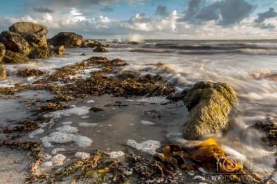 Galway Bay, Furbo