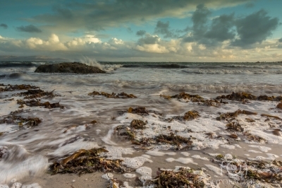 Galway Tide