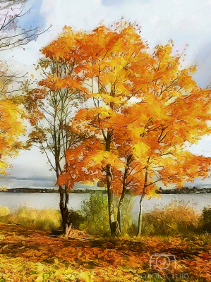 Golden Silence