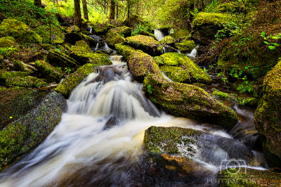 Gougane Barra Waterfall