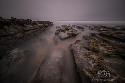 Gravitate, Fanore