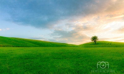 Green Fields of Ireland 