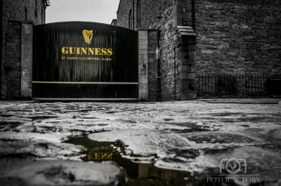 Guinness