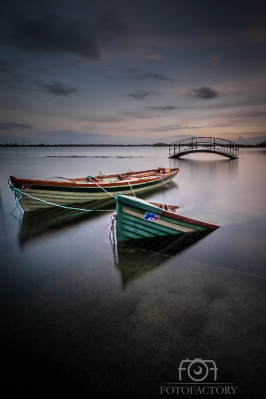 In the Silence
