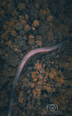 Journey into Silence