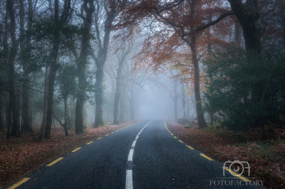 Killarney National Park