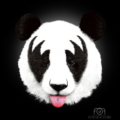 Kiss of a Panda 