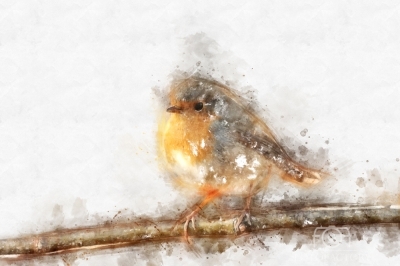 Little Robin