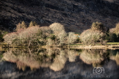 Lough Gougane Barra