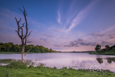 Lough Gur