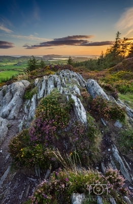 Lough Hyne