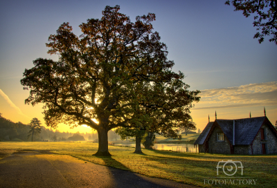 Misty Sunrise