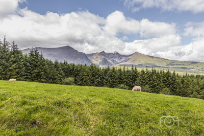 Mountain Scene