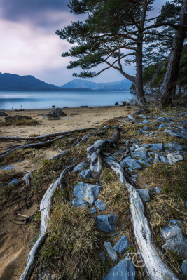 Muckross Lake