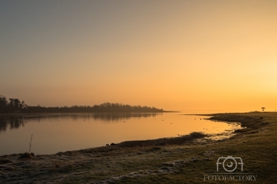 On the Estuary