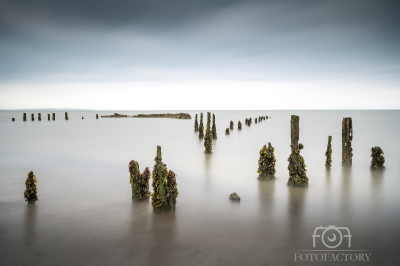 Pilmore Groynes