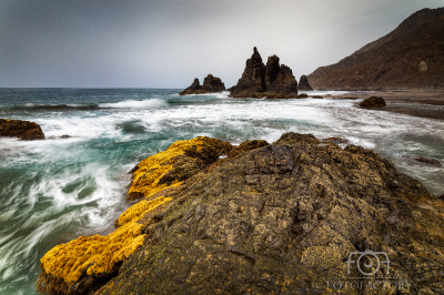 Playa De Benijo,Tenerife