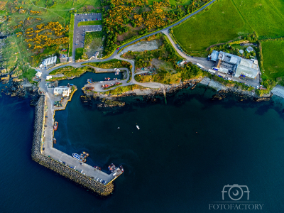 Port Oriel