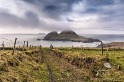 Puffin Island