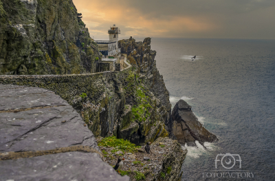 Puffins at Skellig