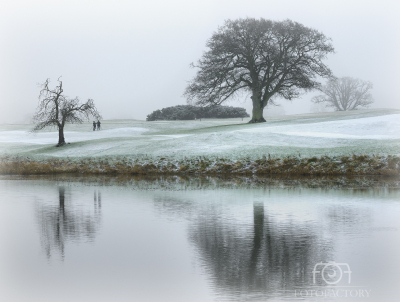 Reflections in The Mist