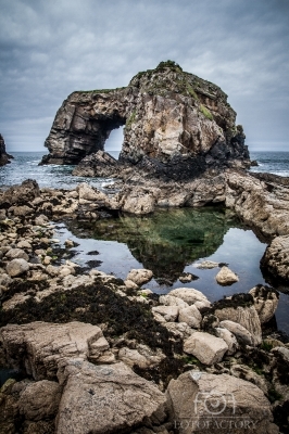 Rocky Coast