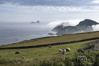 Skellig Ring