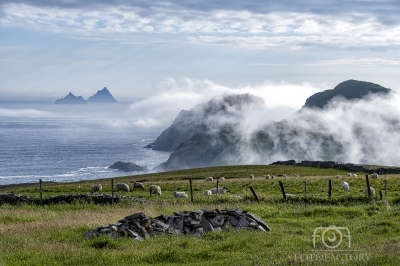 Skellig ring