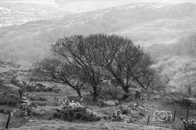 Spring hail in Shehy Highlands