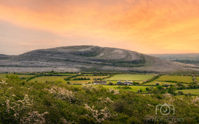 The Burren 