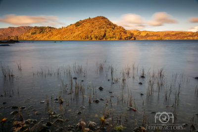 The Corrib