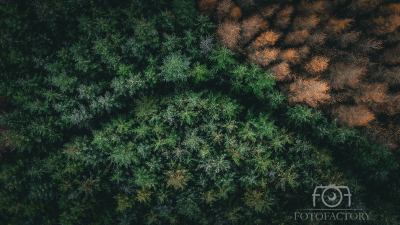 The Lost Passage
